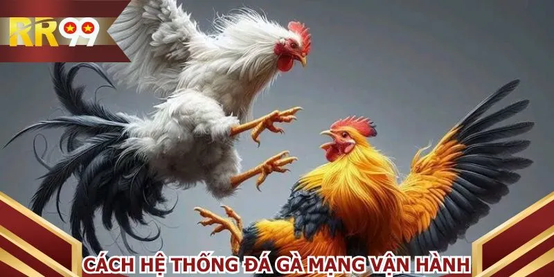 Cách hệ thống đá gà mạng vận hành