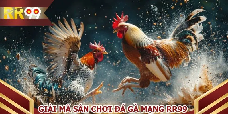Giải mã sân chơi đá gà mạng RR99
